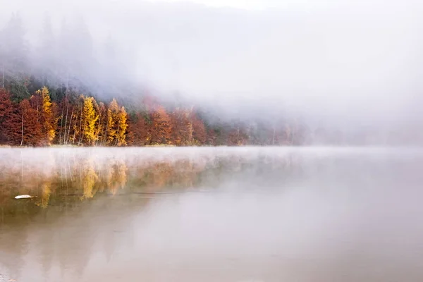 Schöne Herbstlandschaft Mit Goldenen Und Kupferfarbenen Bäumen Und Morgennebel Über — Stockfoto