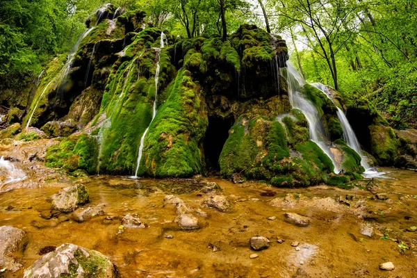 Bella Cascata Nella Foresta Con Muschio Verde Contea Caras Severin — Foto Stock