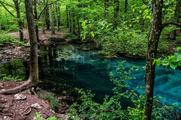罗马尼亚Bozovici Chile Nerei Beusnita国家公园 Caras Severin县森林 森林中美丽而著名的翡翠湖Ochiul Beiului — 图库照片