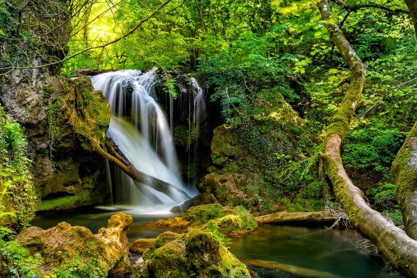 緑の苔で美しいラ バイオアガ滝の長い露出 ベスニータ チリネレイ国立公園 カラスセヴァリン ルーマニア — ストック写真