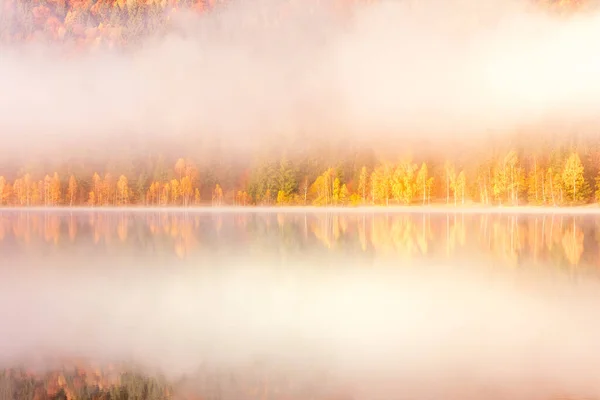 Schöne Herbstlandschaft Mit Goldenen Und Kupferfarbenen Bäumen Nebel Sfanta Ana — Stockfoto