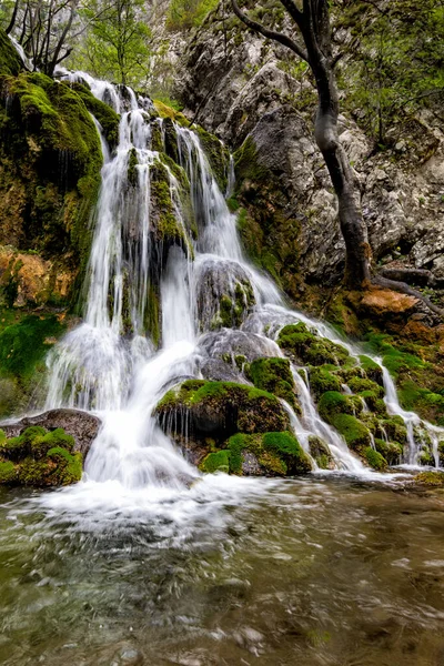 Krásný Vodopád Lese Zeleným Mechem Okres Caras Severin Národní Park — Stock fotografie