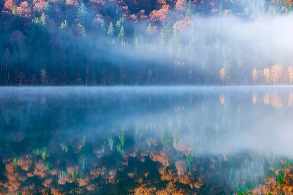 Schöne Herbstlandschaft Mit Goldenen Und Kupferfarbenen Bäumen Nebel Sfanta Ana — Stockfoto