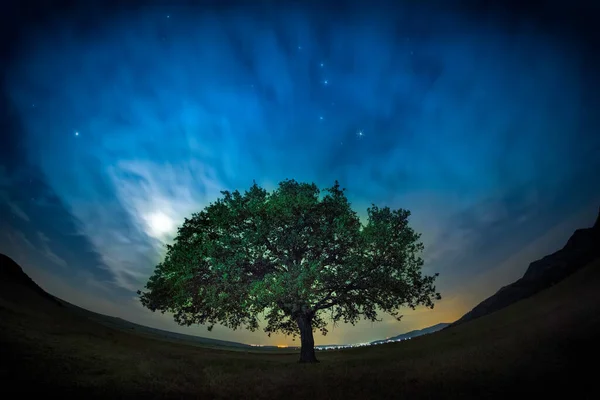 Gyönyörű Táj Egy Magányos Tölgyfával Drámai Felhőkkel Csillagos Éjszakai Égbolttal — Stock Fotó