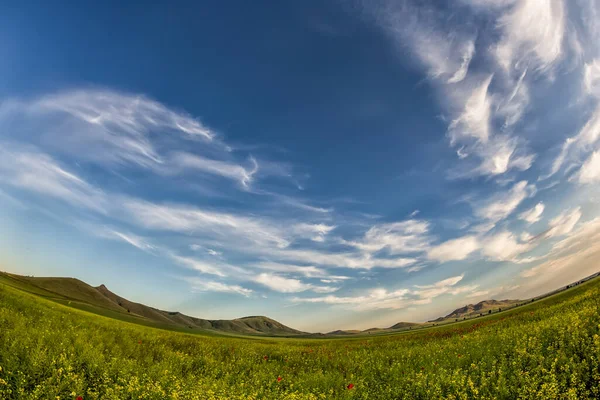 Hermoso Cielo Atardecer Con Nubes Blancas Sobre Verde Campo Verano — Foto de Stock