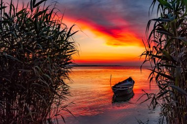 Güneşin doğuşuyla birlikte gölde güzel bir sabah manzarası kamış, Razelm Gölü, Razim, Sarichioi, Romanya