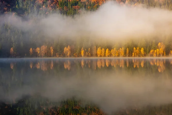 Piękny Jesienny Krajobraz Złotymi Miedzianymi Drzewami Mgle Jezioro Sfanta Ana — Zdjęcie stockowe