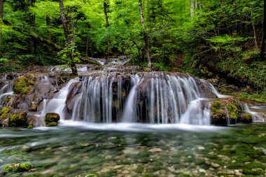 Yeşil yosun, Beusnita, Cheile Nerei Ulusal Parkı, Romanya 'nın güzel bir şelalesine uzun süre maruz kalmak