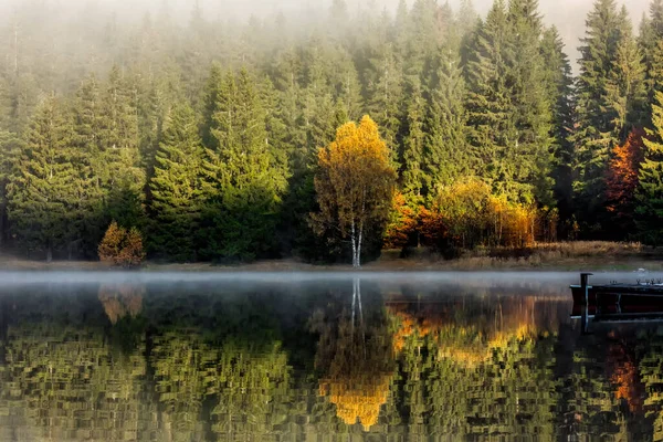 Beautiful Autumn Landscape Golden Copper Colored Trees Morning Mist Reflected — Stock Photo, Image