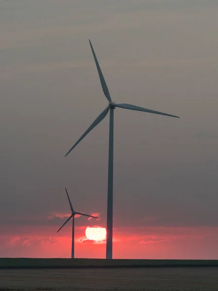 在落日下的风力涡轮机轮廓 罗马尼亚Dobrogea — 图库照片