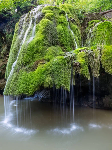 Unic Beautiful Bigar Waterfall Tele Zöld Mohával Bozovici Caras Severin — Stock Fotó