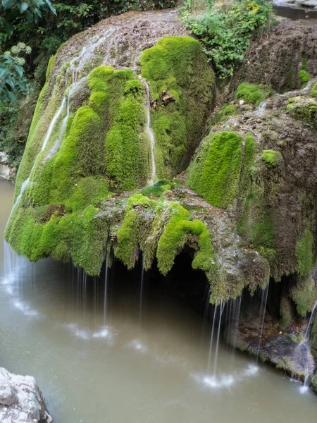 緑の苔でいっぱいのユニークな美しいビガー滝 Bozovici Caras Seberin ルーマニア — ストック写真