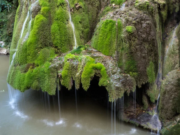 Уникальный Красивый Водопад Бигар Полный Зеленых Млекопитающих Бозовичи Караш Мбаин — стоковое фото