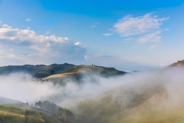 Hermoso Paisaje Montaña Una Mañana Brumosa Con Árboles Nubes Dumesti — Foto de Stock