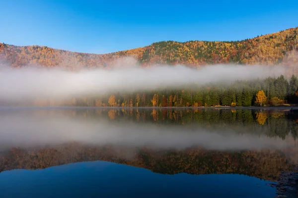 Hermoso Paisaje Otoñal Con Árboles Dorados Color Cobre Niebla Lago — Foto de Stock