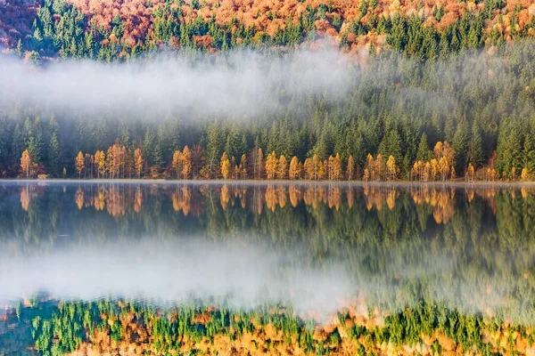 Schöne Herbstlandschaft Mit Goldenen Und Kupferfarbenen Bäumen Nebel Sfanta Ana — Stockfoto