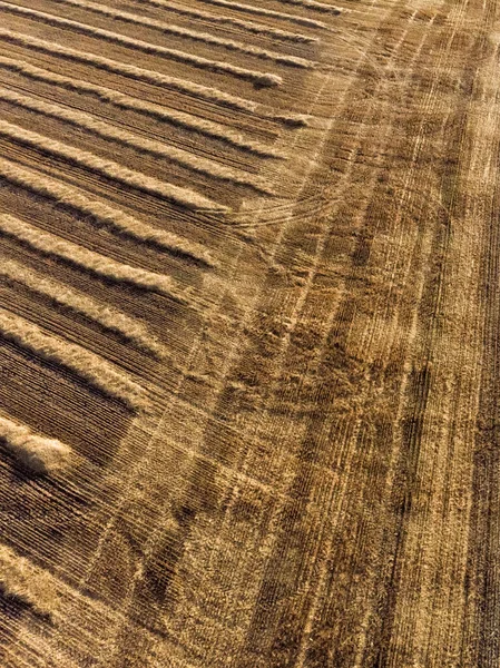 Luftaufnahme Eines Frisch Gepflügten Weizenfeldes Gorun Bulgarien — Stockfoto