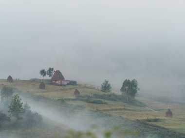 Sisli bir sabah, Dumesti, Salciua, Apuseni, Romanya 'da eski evler, ağaçlar ve samanlıklarla dolu güzel bir dağ manzarası