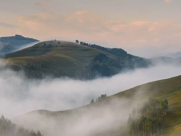 Όμορφο Ορεινό Τοπίο Ενός Ομιχλώδη Πρωί Δέντρα Στους Λόφους Dumesti — Φωτογραφία Αρχείου