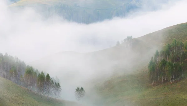 Όμορφο Ορεινό Τοπίο Ενός Ομιχλώδη Πρωί Δέντρα Στους Λόφους Dumesti — Φωτογραφία Αρχείου