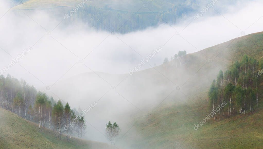 Beautiful mountain landscape of a foggy morning with trees on hills, Dumesti, Salciua, Apuseni, Romania