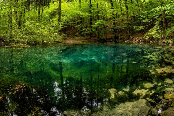 美しいと有名なエメラルド色の湖森の中の落葉美しいBeiului カラスセヴァリン郡 ベヌニタ国立公園 チリネレイ ルーマニア — ストック写真