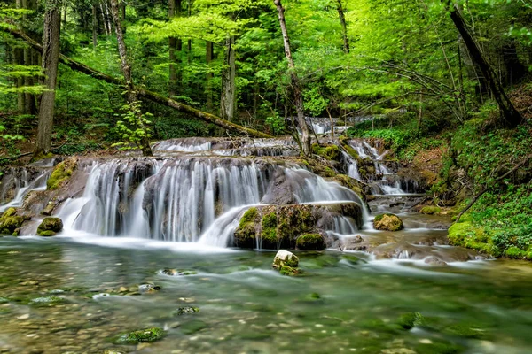 Gyönyörű Vízesés Erdőben Caras Severin Megye Beusnita Nemzeti Park Cheile — Stock Fotó