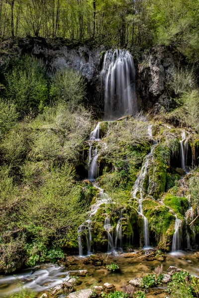 Красивый Водопад Лесу Карас Северин Уезд Национальный Парк Беусница Cheile — стоковое фото