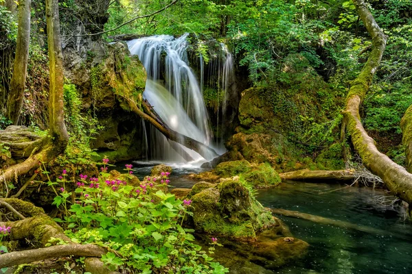 Dlouhá Expozice Krásného Vodopádu Vaioaga Zeleným Mechem Beusnita Cheile Nerei — Stock fotografie