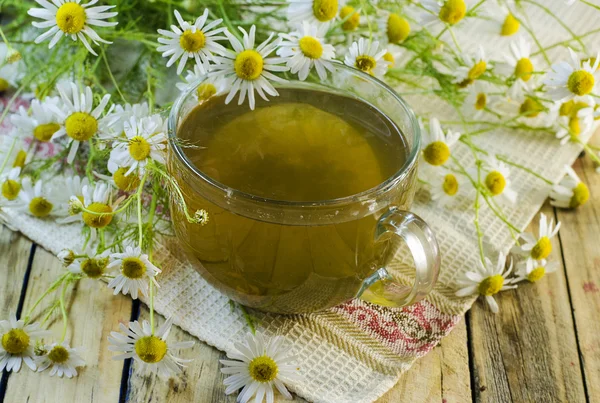 Ромашковый травяной чай — стоковое фото