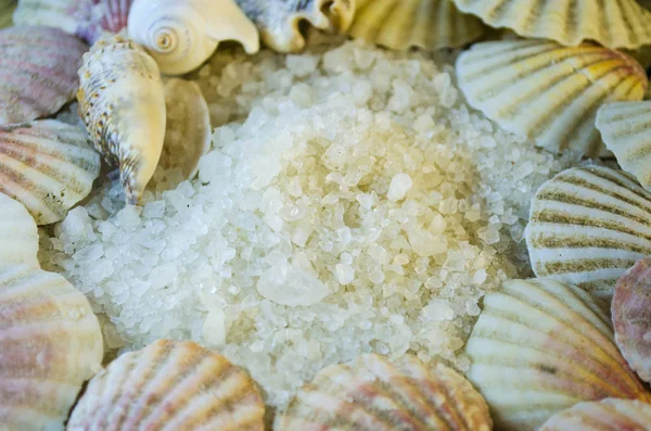 Sal marinho e conchas — Fotografia de Stock