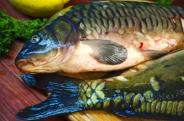 Verse rauwe vis karper — Stockfoto