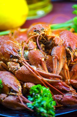 Kırmızı ve iştah açıcı haşlanmış kerevit