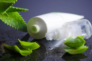 aloe vera ile spa için güzellik ürünleri