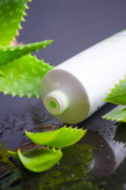 aloe vera ile spa için güzellik ürünleri