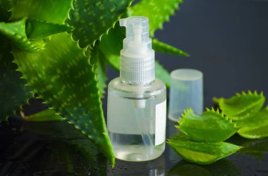 aloe vera ile spa için güzellik ürünleri