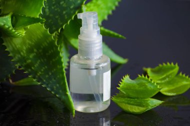 aloe vera ile spa için güzellik ürünleri