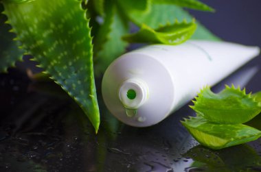 aloe vera ile spa için güzellik ürünleri