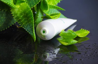 aloe vera ile spa için güzellik ürünleri