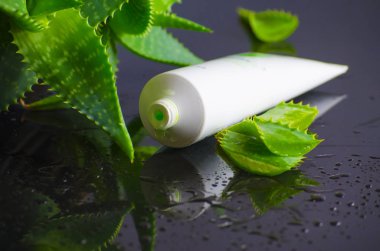 aloe vera ile spa için güzellik ürünleri