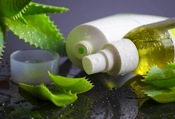 aloe vera ile spa için güzellik ürünleri