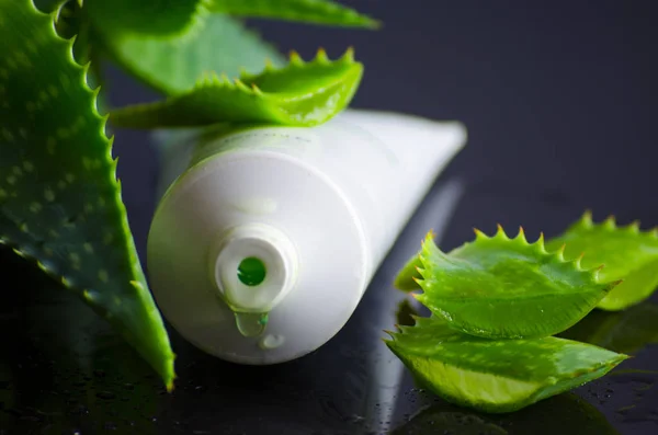 aloe vera ile spa için güzellik ürünleri