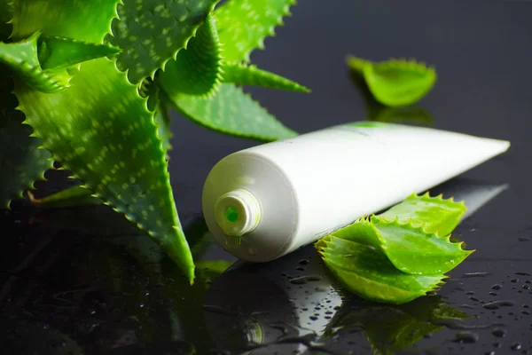 aloe vera ile spa için güzellik ürünleri