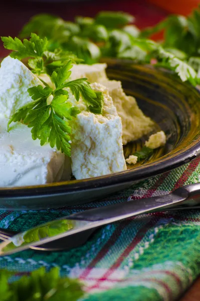 Queso de cabaña con hierbas — Foto de Stock