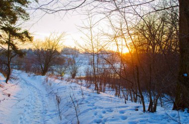 kış orman ve nehir kıyısında günbatımı