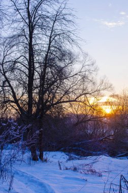 kış orman ve nehir kıyısında günbatımı