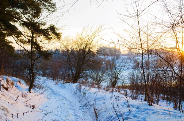 kış orman ve nehir kıyısında günbatımı