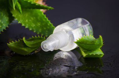 aloe vera ile spa için güzellik ürünleri