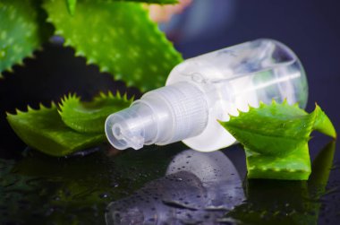 aloe vera ile spa için güzellik ürünleri