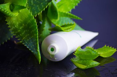 aloe vera ile spa için güzellik ürünleri